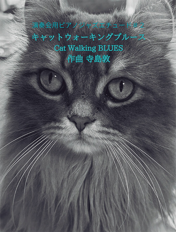 Ptna 044828 cover1